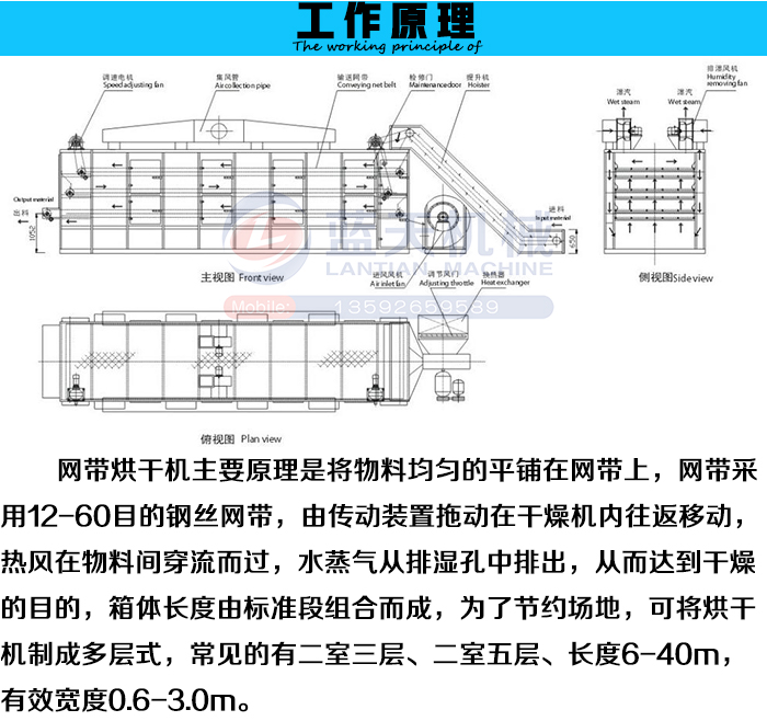 三層網(wǎng)帶式烘干機工作原理